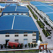 Pidegree Industrial Co., Limited Nitrile Gloves