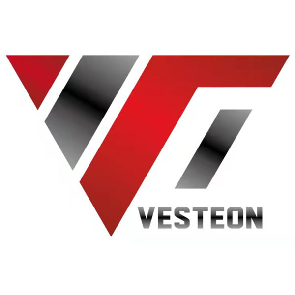 Shandong Vesteon Automotive Parts (Group) Co., Ltd. logo