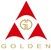 Company icon