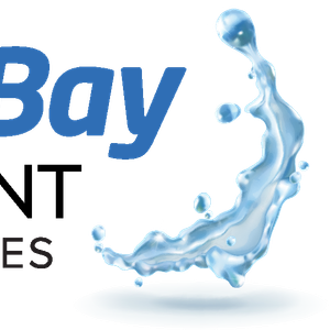 Company icon