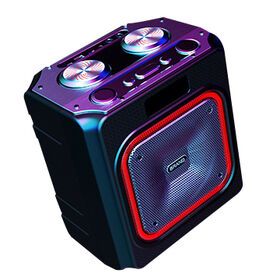 Unique design Bluetooth Speaker with EQ ECHO function big size and powerful sounds portable speaker