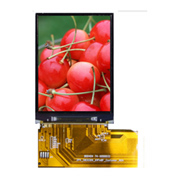 IEXCELLENCE TECHNOLOGY PTE. LIMITED OLED display modules