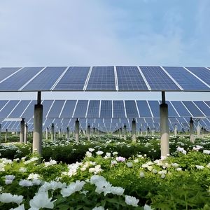 Slewing Drive Single Axis Solar Track System Sun Tracking Solar System Solar Panel Tracking System Solar Sun Tracker