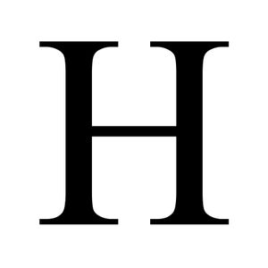 Company icon