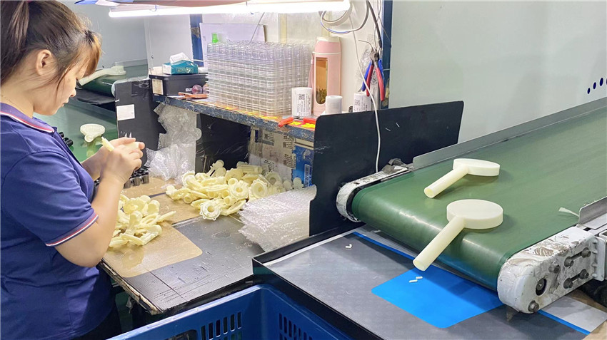 Xiamen Wiesel Technology Co. Ltd Injection Mold