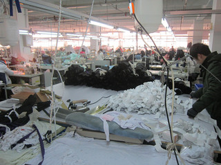 Shuyang Swan Apparel Co., Ltd. Board Shorts