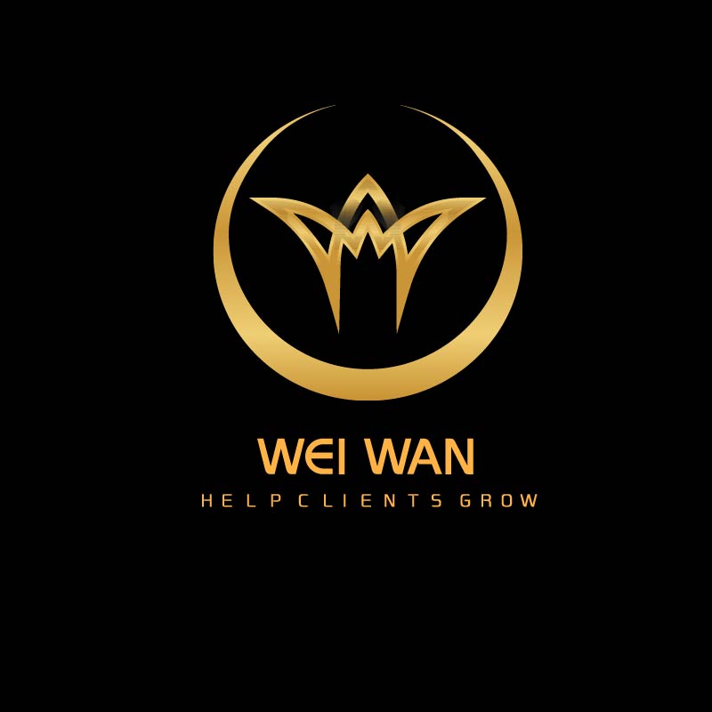 Baoding Wei Wan Trade Co., Ltd. logo