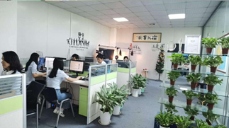 Shenzhen Tianxiaowei Electronic Co., Ltd. USB Cable