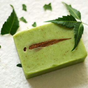 Neem Soap from Parker Biotech