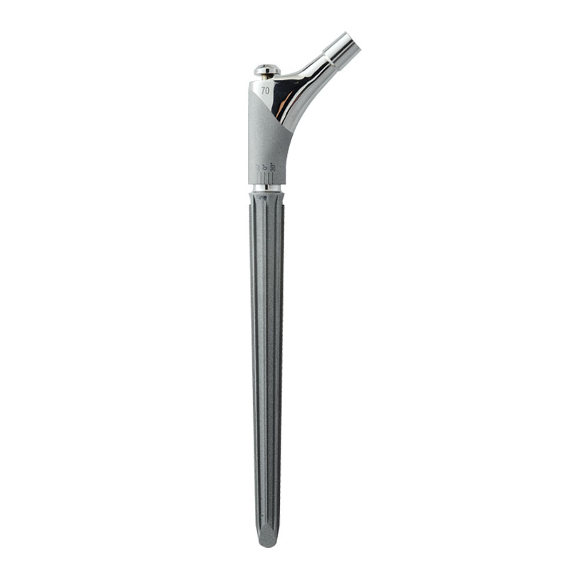 Hip prosthesis revision femoral stem, medical instruments prosthesis, orthopedic implant