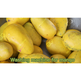 Automatic Bubble Apple Aloe Vera Cleaning Equipment Vegetable Washer Price Orange Olive Citrus Fruit Washing Machine