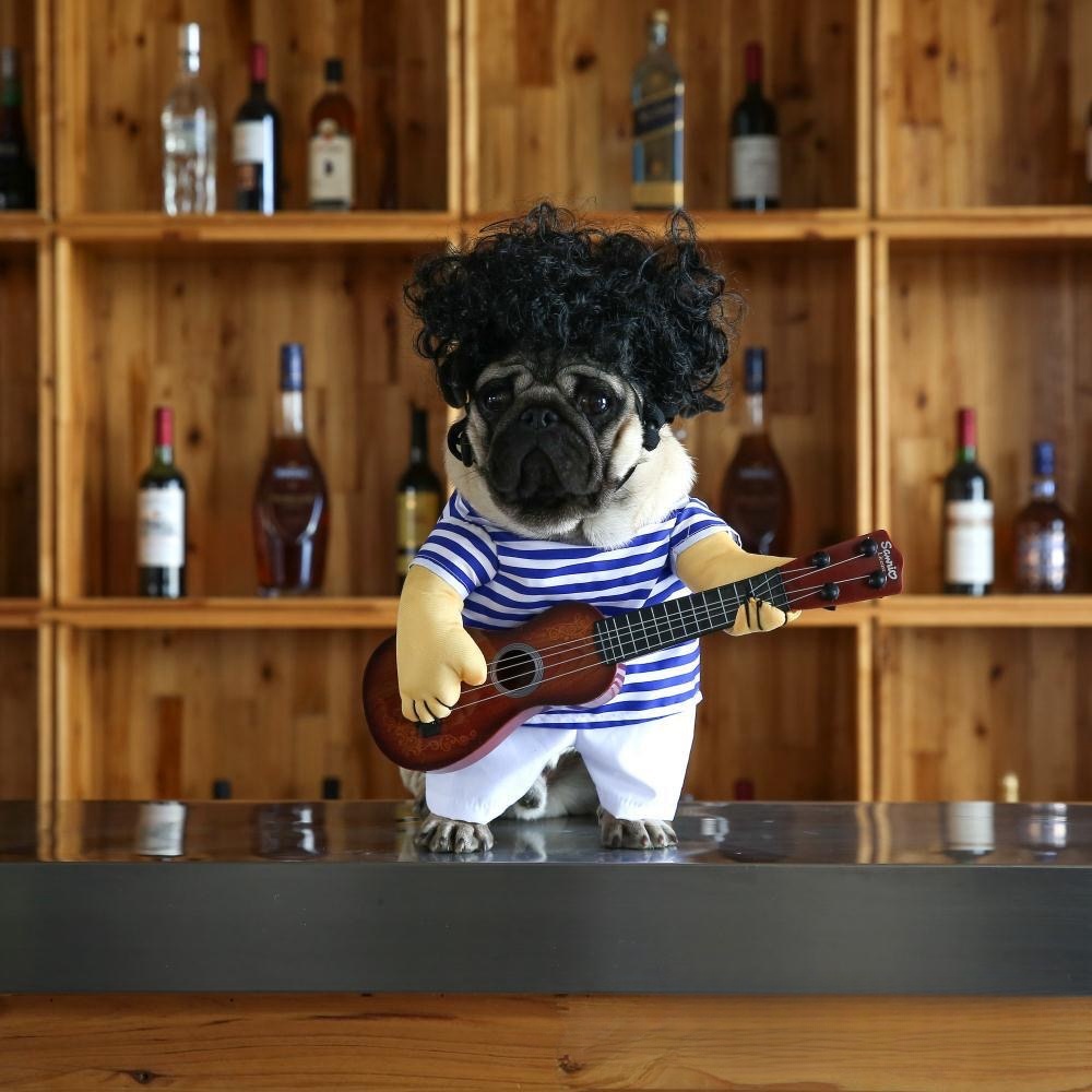 Hubei Shengfeihong International Trade Co., Ltd. Best-selling pet Halloween funny costumes Guitar costumes for pet dogs and cats