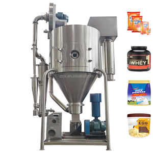 DZJX Welldone Technology Stain Steel Spray Drying Vietnam By Instant Coffee Tomato Washing Detergent Powder Production Factory
