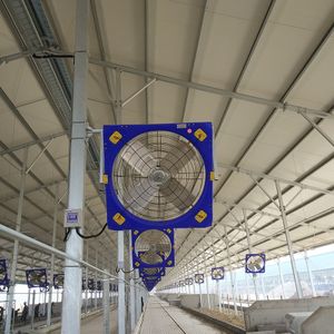Livestock Farm Barn  Automatic Cooling Down Equipment  Greenhouse Industrial Circulation Fan With 4 Aluminum Blades