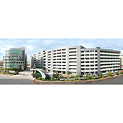 Fujian Singyee Import & Export Co., Ltd. casual shoes