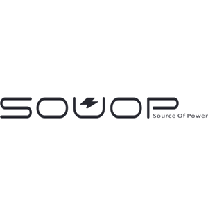 Company icon