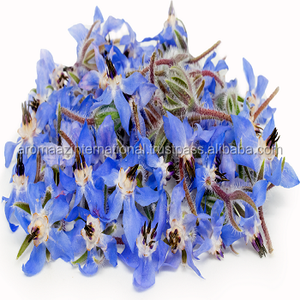 100% pure Borage Seed Carrier Oil