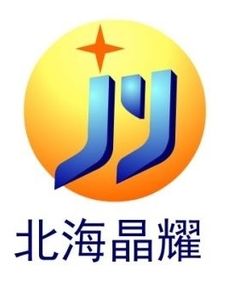Company icon