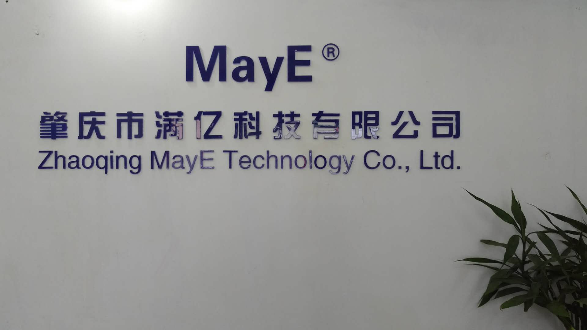 Zhaoqing MayE Technology Co., Ltd. factory image 3