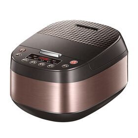Multi-function Home Kitchen Electric Pressure Portable Rice Cookers