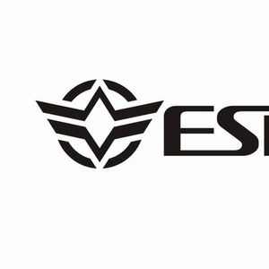 Company icon