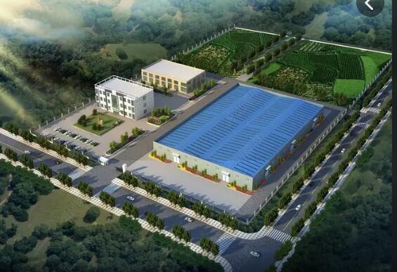 Shandong Pinjia Machinery Technology Co., Ltd. Forklift