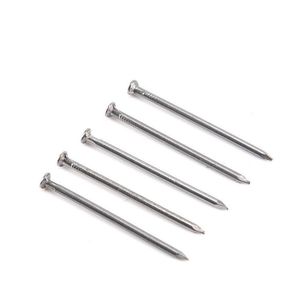 Hot Sale All Size Factory Direct Sale Iron Wire Nail Steel 2 Inch China Round Head Common Wire Nails For Construction