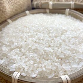 High Quality Professional Japanese White Rice Wholesale Instant Food (Whatsapp: Mr Daivd 0084986778999)