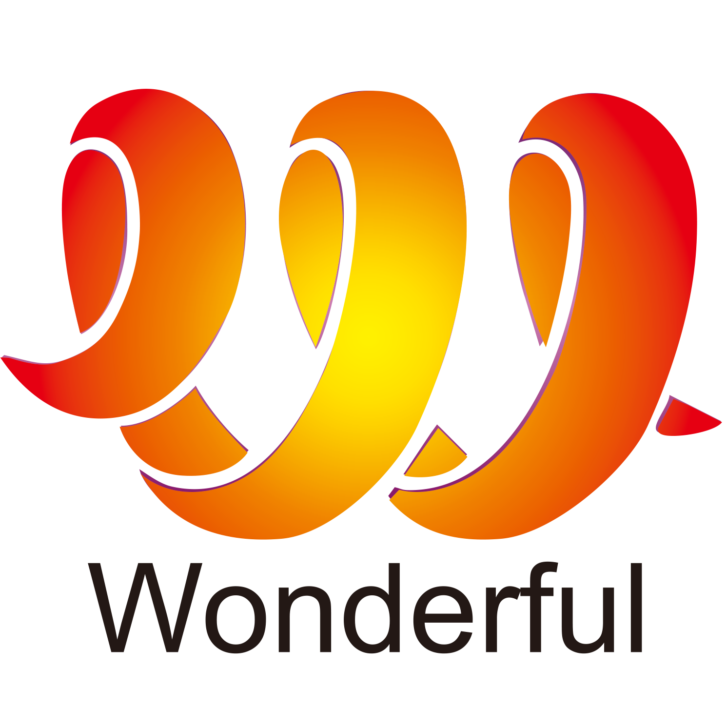Huizhou Wonderful Packaging Materials Co., Ltd. logo