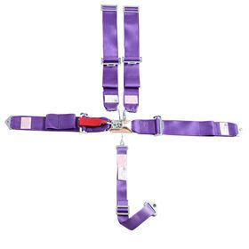 Performance Racing SFI 16.1 Certified 5 Point  Harness Latch and Link Quick Release Safety Belt Car Seat Belt Combo Sport car