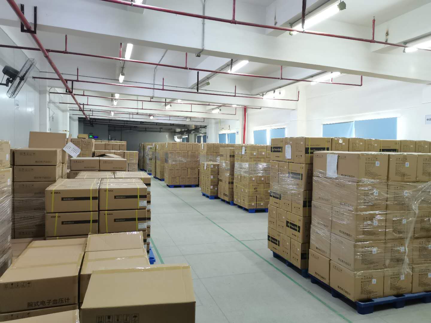 Shenzhen Romsun Medical Technology Co., Ltd. Baby shoes
