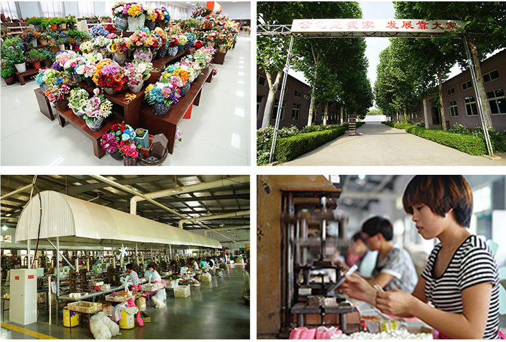 Henan Yongnuo Trading Co., Ltd. factory image 2