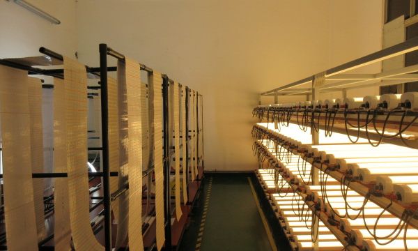 NFcE5sQ4I7kIhm9IxSm8N4uGSYcSetm7mnhxMbFXX8vhMZpkd835e2xppf57ci0x.jpg