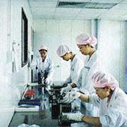 Shantou S.E.Z. Wo Hing Radio & Video Co., Ltd. CD-R