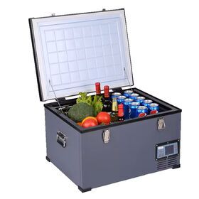 Hot Selling 115L Car Fridge AC 100V~240V Car Refrigerator Portable Freezer