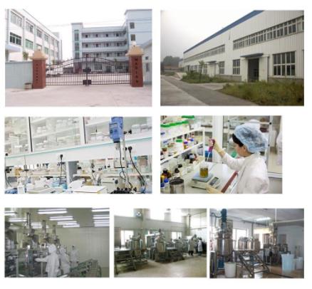 Changsha Beauty Cosmetics Co., Ltd. Lipstick