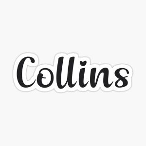 Company icon