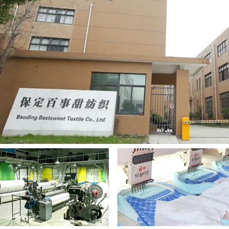 Baoding Bestsweet Textile Co., Ltd. Bath Towels