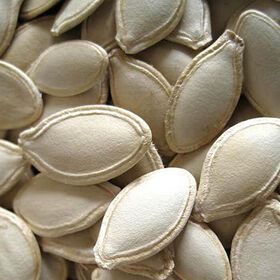 Pumpkin Seeds Kernels Nuts & Kernels Roasted Pumpkin Seeds Raw Bulgarian Origin Top Quality New Crop Packaging Snacks