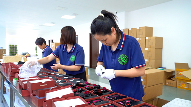 Shijiazhuang Dragonhawk Industry Co., Ltd. Tattoo Machines