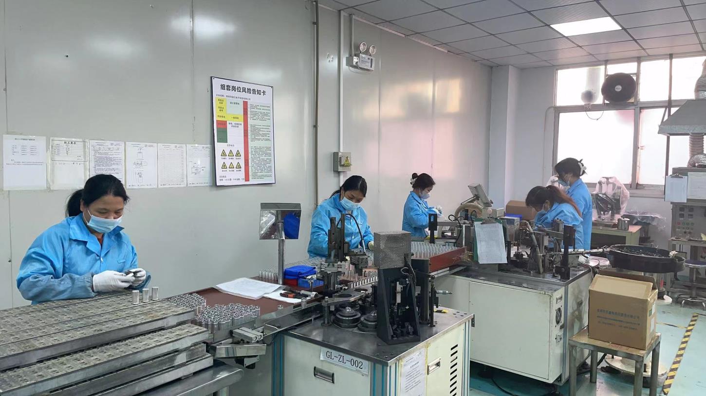 Glan Electronics Co., Ltd. Radial Type Capacitor