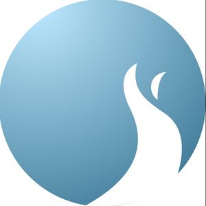 Company icon