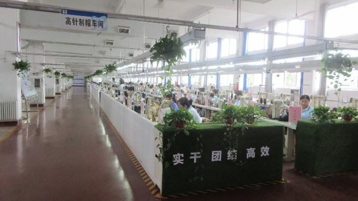 Henan Rebecca Hair Products Co., Ltd. Synthetic Hair Weaving
