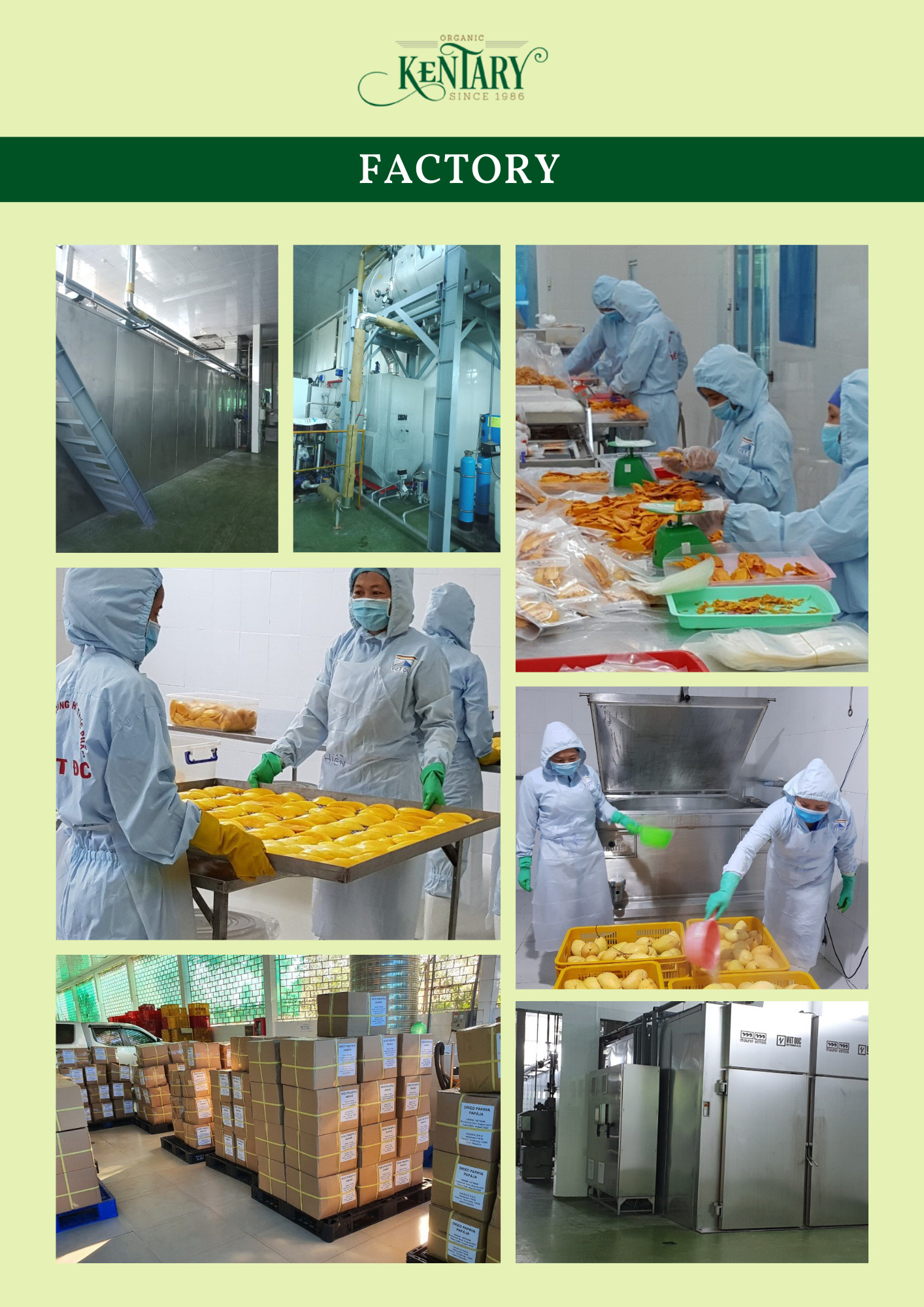 V.Kaus Company Limited factory image 4