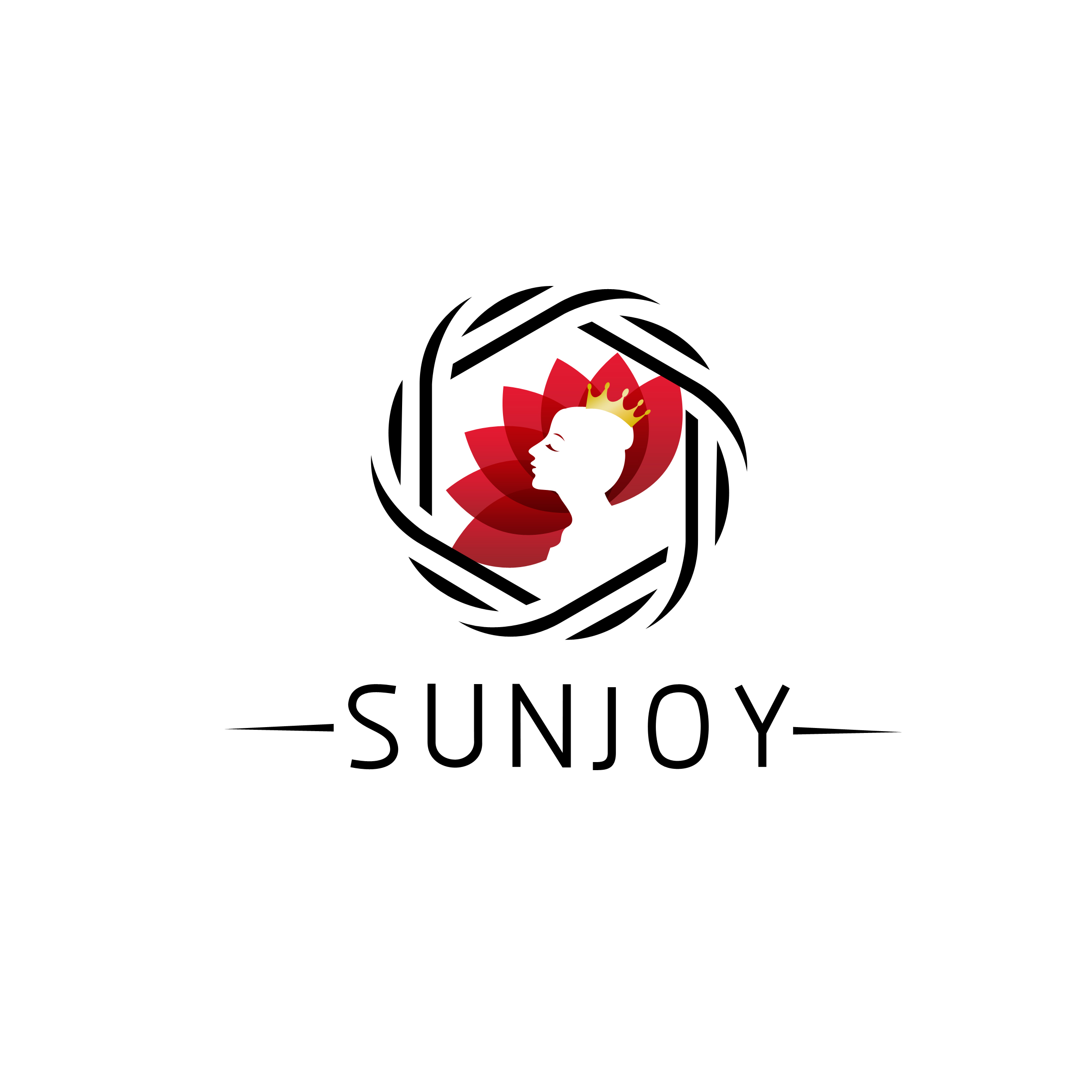 Shandong Sunjoy Import & Export Co., Ltd. logo