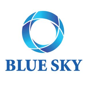Company icon