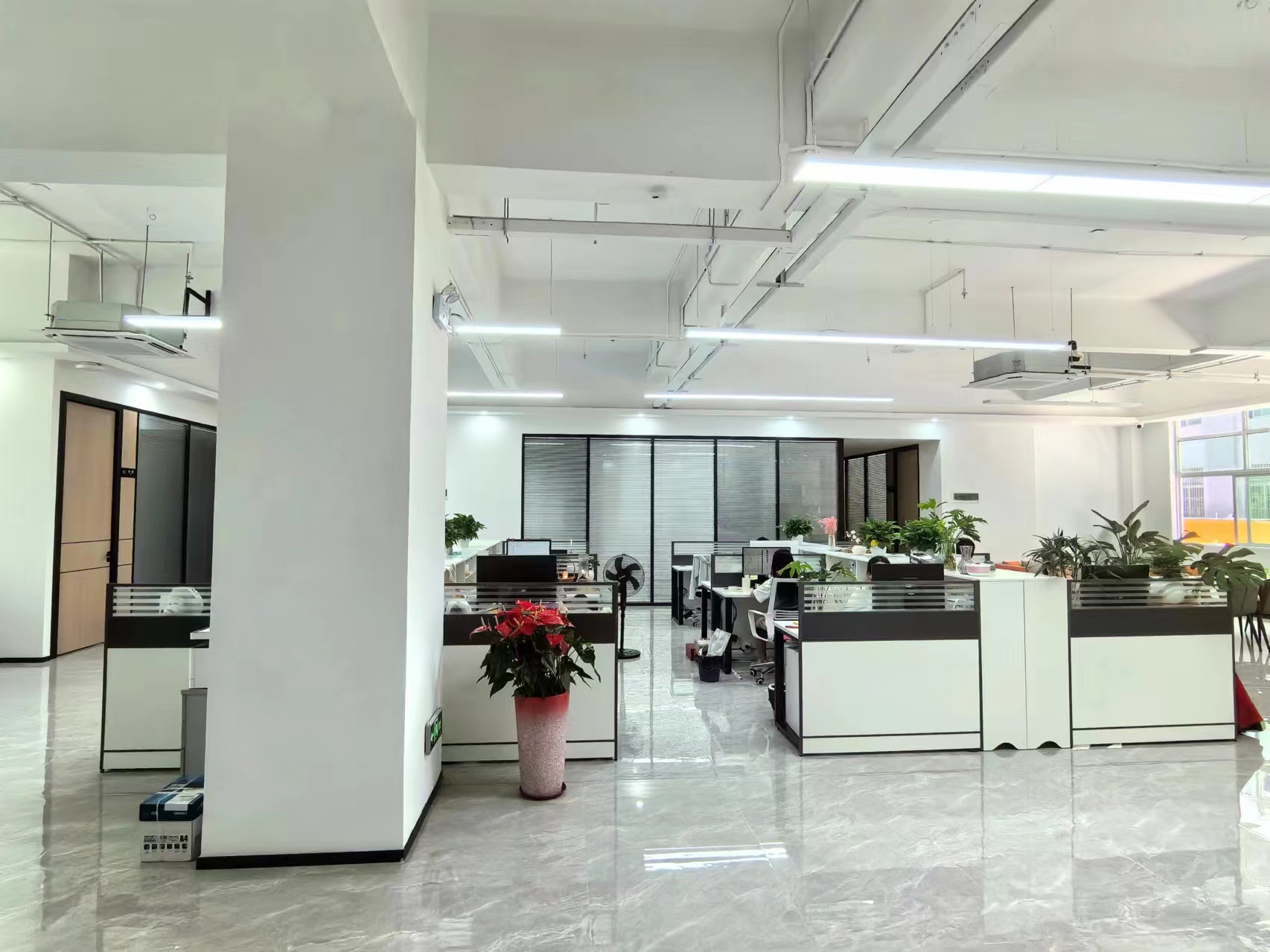 Shenzhen Saidisi Electronic Co., Ltd. factory image 3