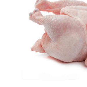 Wholesale Halal Frozen Whole Chicken Feet Paws Leg Quarter Canned Style GM Food Prices