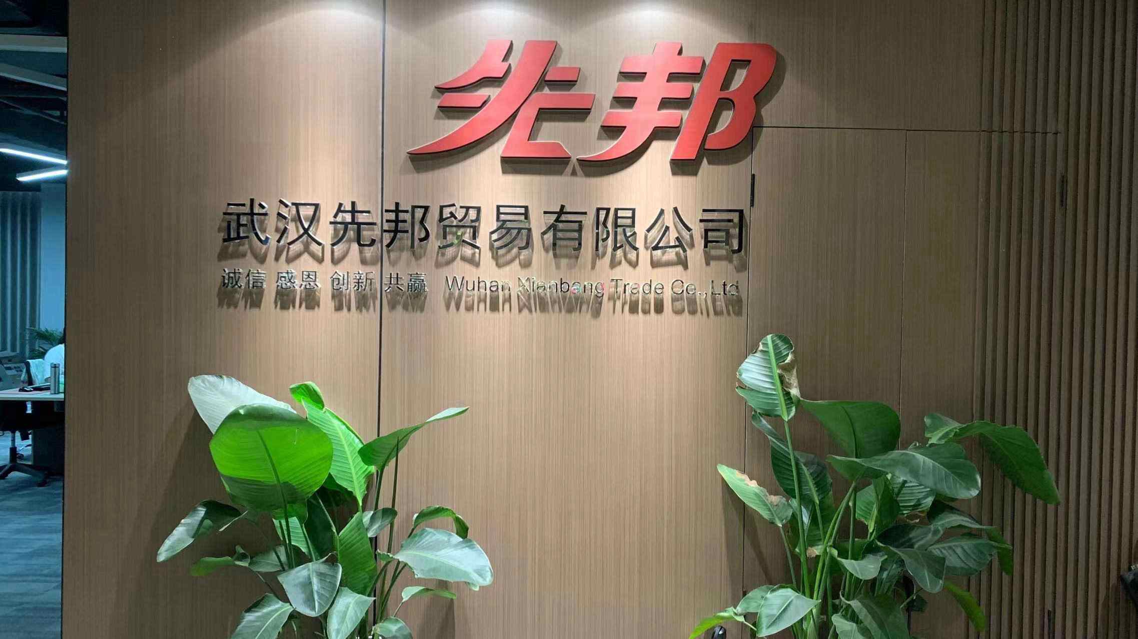 Wuhan Xianbang Trading Co., Ltd. Bath Mats