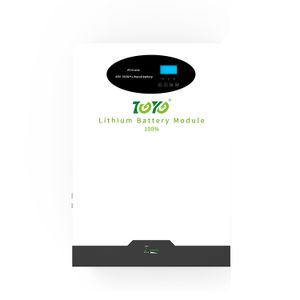 TOYO Power Wall 10kwh 5kwh Lithium Ion Battery 51.2v 100ah Battery With 5 Years Warranty